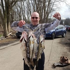 Meet your Posher, Dave